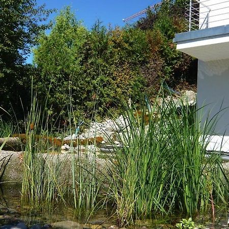 N1 Standalone House Baden Apartman Hertenstein Kültér fotó