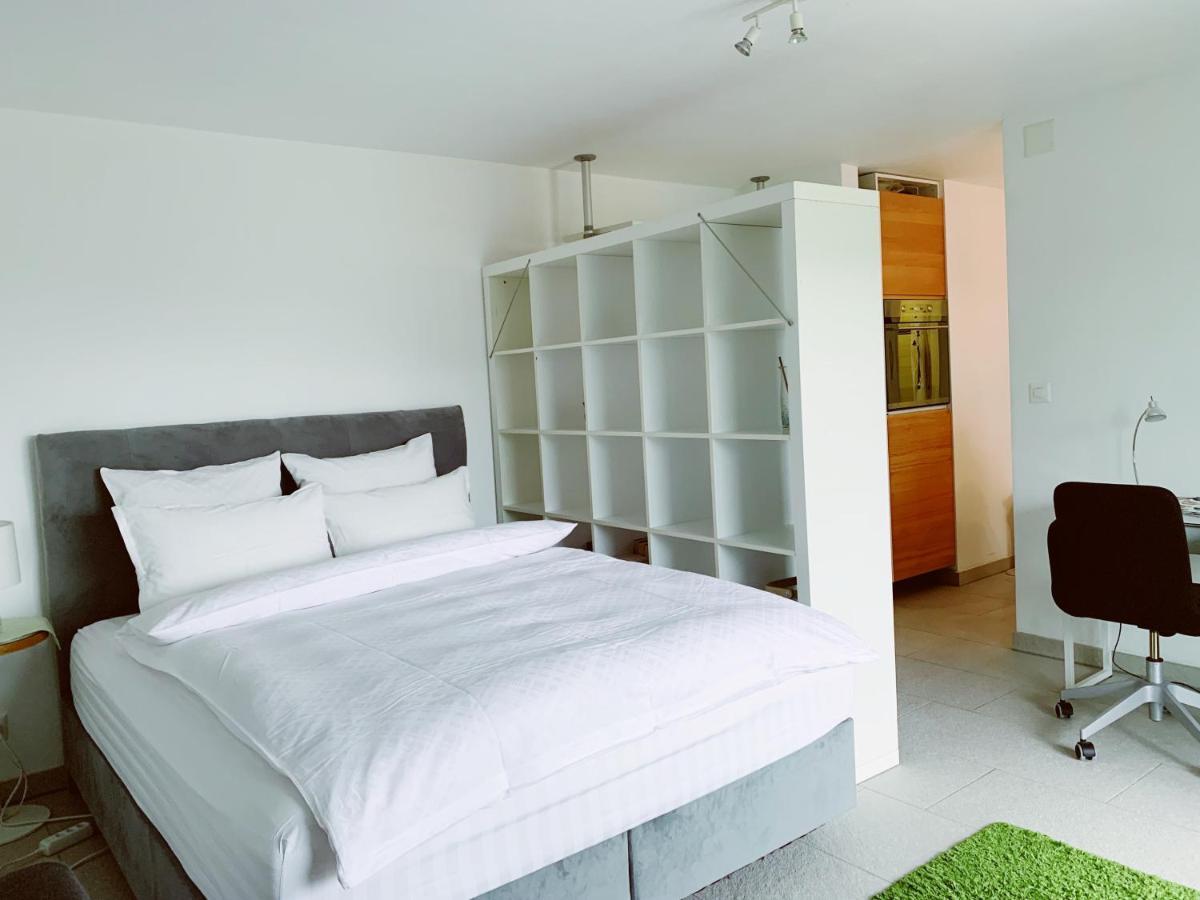 N1 Standalone House Baden Apartman Hertenstein Kültér fotó