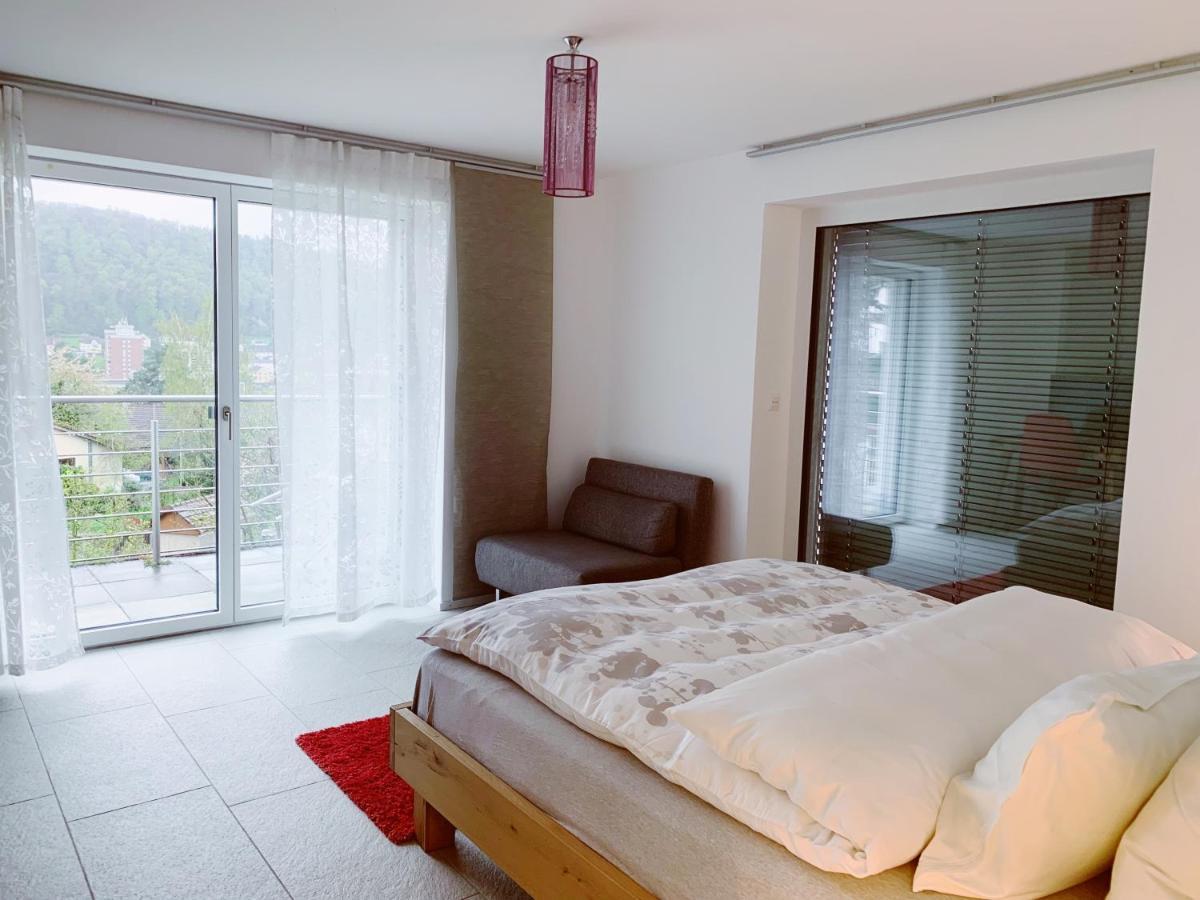 N1 Standalone House Baden Apartman Hertenstein Kültér fotó