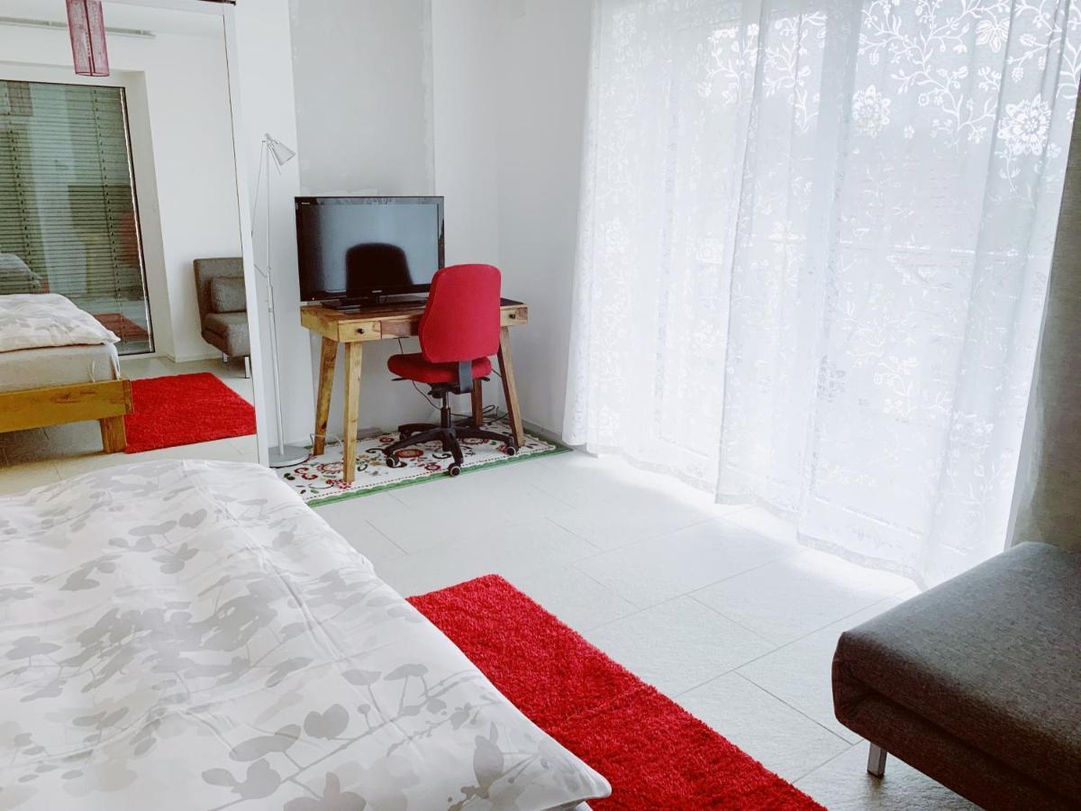 N1 Standalone House Baden Apartman Hertenstein Kültér fotó