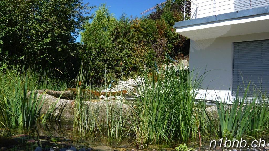 N1 Standalone House Baden Apartman Hertenstein Kültér fotó
