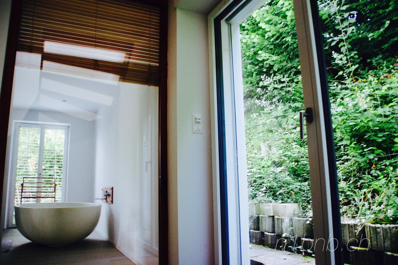 N1 Standalone House Baden Apartman Hertenstein Kültér fotó