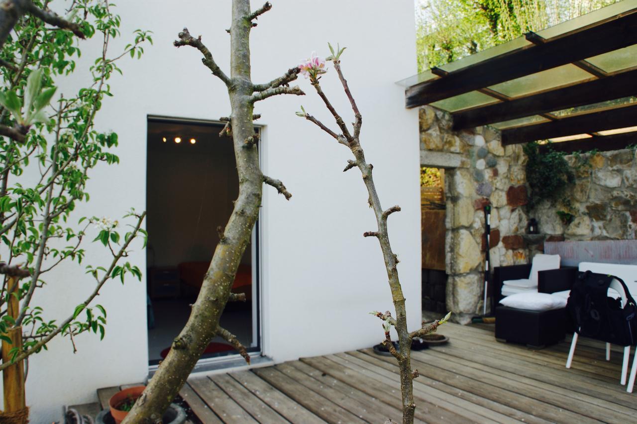 N1 Standalone House Baden Apartman Hertenstein Kültér fotó